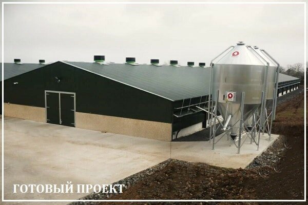 Этапы возведения птицефабрики от завода ВелесТент-прв